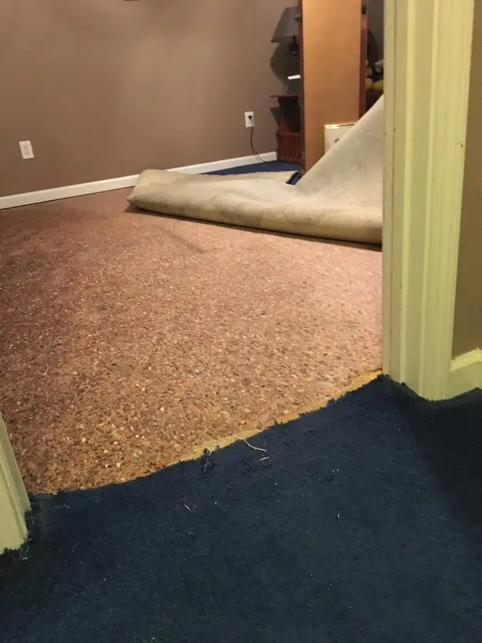 Carpet pad removal revealing water damage during Water Mitigation Services in Harvey
